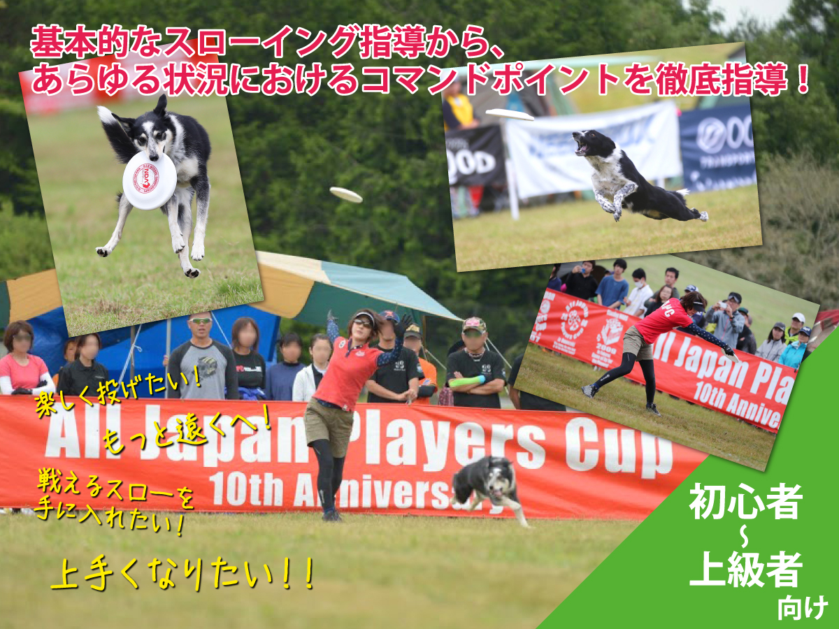 inu-専科｜ディスクスローイングレッスン